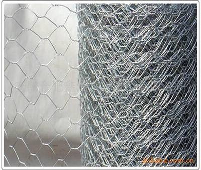 廠家直供優(yōu)質(zhì)低碳鋼鐵絲與裹塑絲六角網(wǎng) 性能、應(yīng)用與選購指南